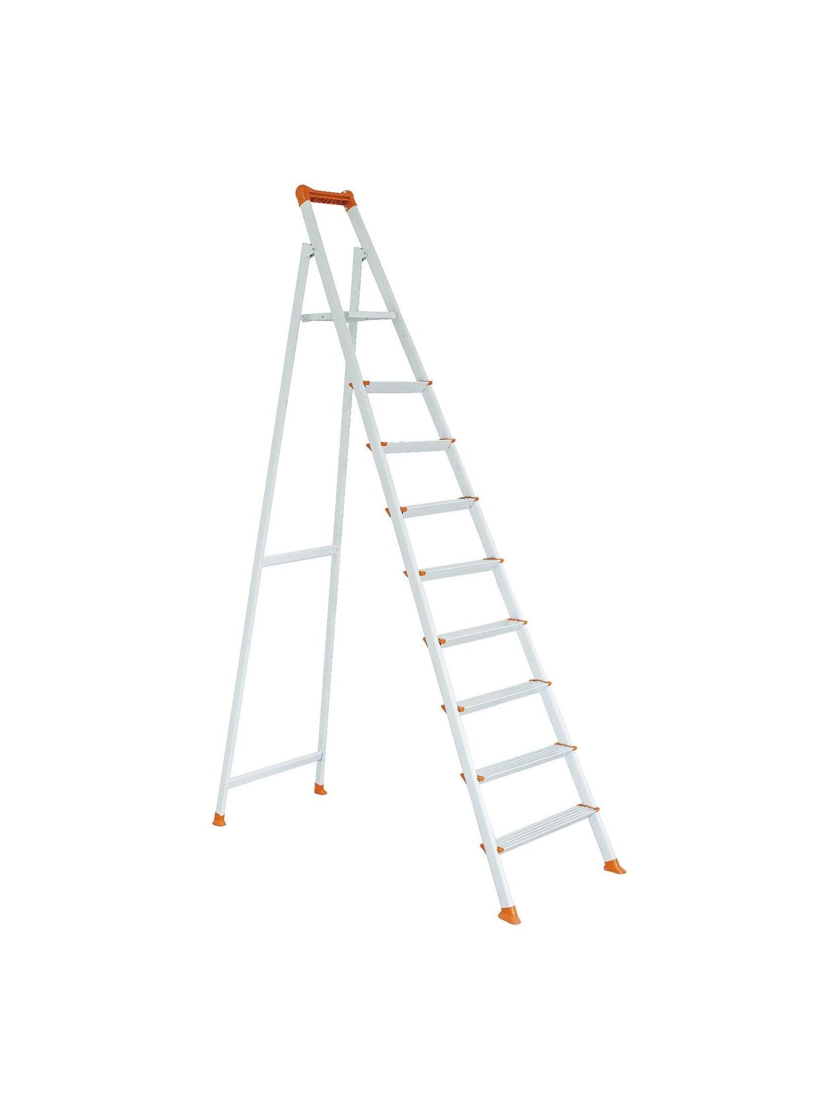 8 plus 1 Oval Profile Ladder