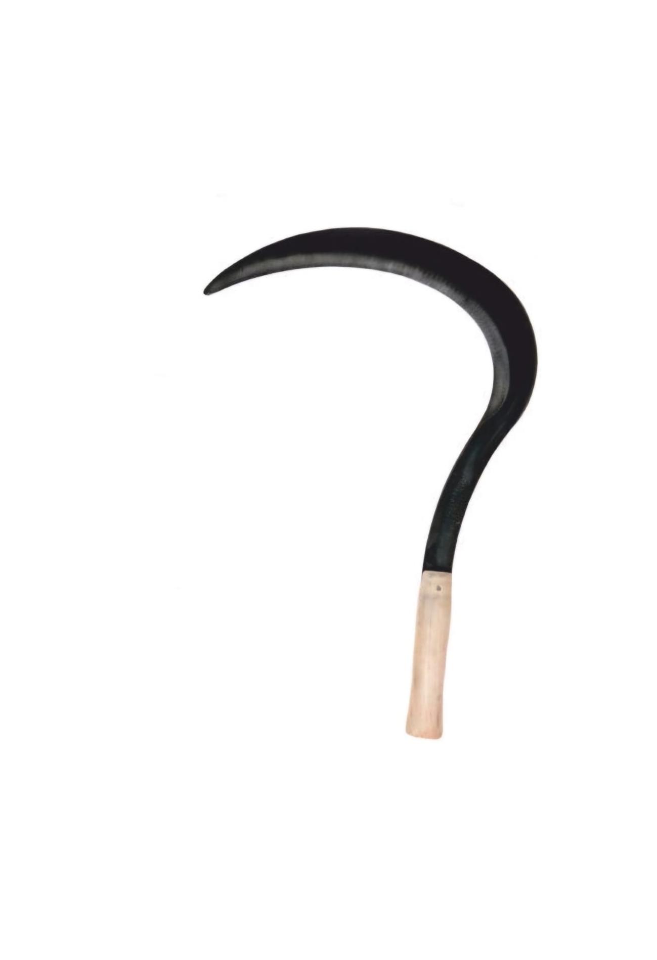 2 Nolu (Orta (M) ) Orak